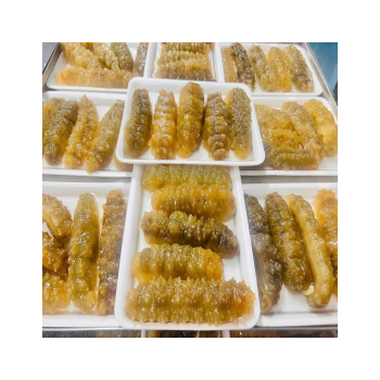 Phân biệt tên các loại hải sâm ở Việt Nam và những lưu ý khi sử dụng