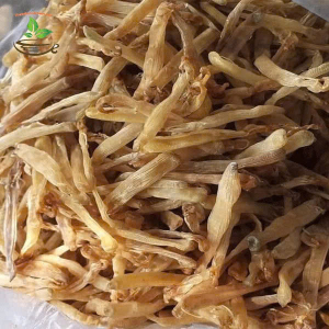 Sá sùng khô Sá sùng khô