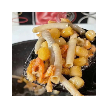 Sá sùng là gì? Tác dụng bất ngờ của sá sùng biển với sức khỏe