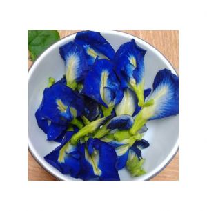 Liệt kê những tác dụng chữa bệnh bất ngờ từ trà hoa đậu biếc