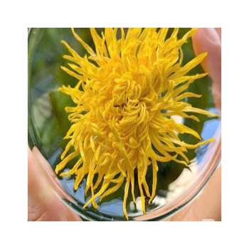 Tổng hợp cách sử dụng các dòng trà hoa khô kết hợp thảo mộc để trị mất ngủ, mát gan và đẹp da