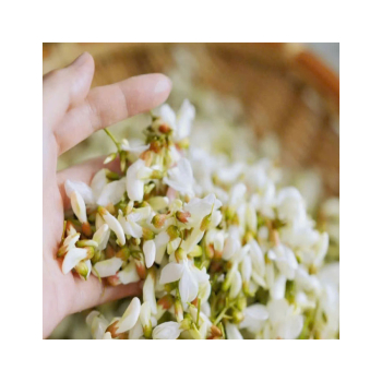 Uống hoa hòe mỗi ngày có thật sự trị mất ngủ và giảm giãn tĩnh mạch ổn định huyết áp?