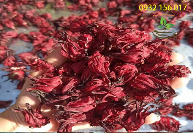 Giá trà hoa atiso đỏ