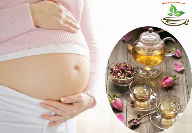 phụ nữ có thai có dùng được trà hoa hồng