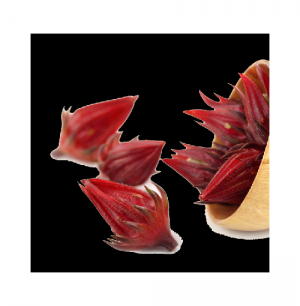 Những vùng đất trồng cây hoa Atiso đỏ (Hibiscus - bụp giấm) làm trà thơm ngon